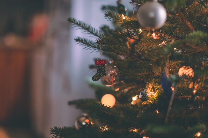 Artificial Christmas Trees vs. Traditional Christmas Trees: Spot the Difference