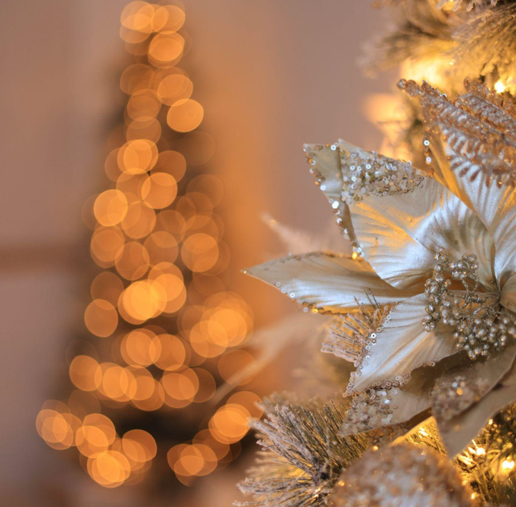 How to Choose the Perfect Christmas Tree for an 8-Foot Ceiling